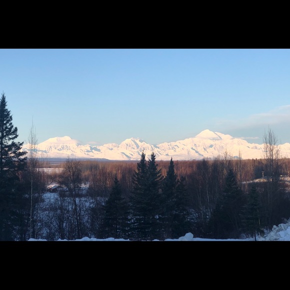 Meet your Posher, Jenice - Picture 5 of 6